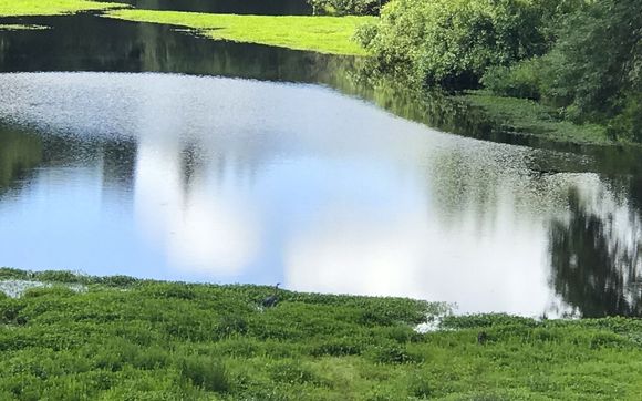 Business consulting by CristyVankleek.com