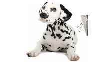 Folsom Lake Carpet Cleaning  by Folsom Lake Carpet Cleaning