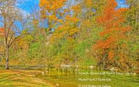 Shenandoah  by Shutter Art Gallery