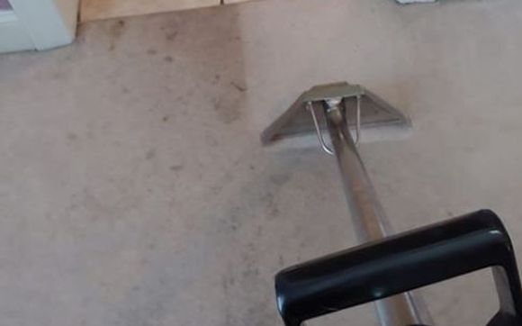 Professional Carpet and Floor Cleaning by KleanEasy Carpet and Floor Cleaning