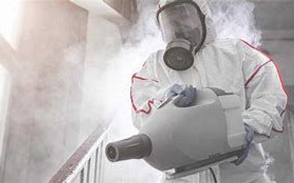 fogging services