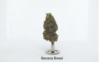 Exotic Indoor | Banana Bread by Nano Hemp Tech Labs