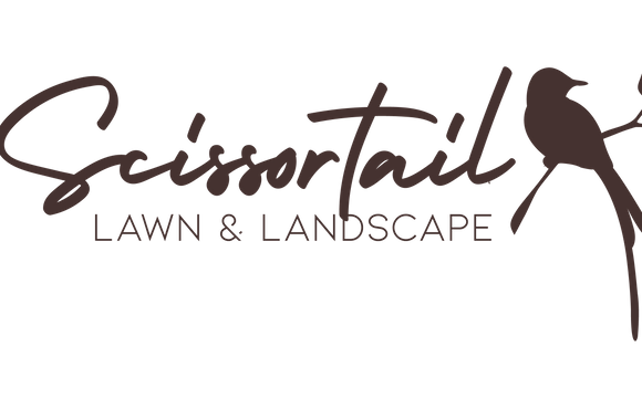 Tree Removal by Scissortail Lawn & Landscape