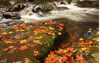 Outdoor Landscape Natural Light Photography by Sewell Scenics Photography