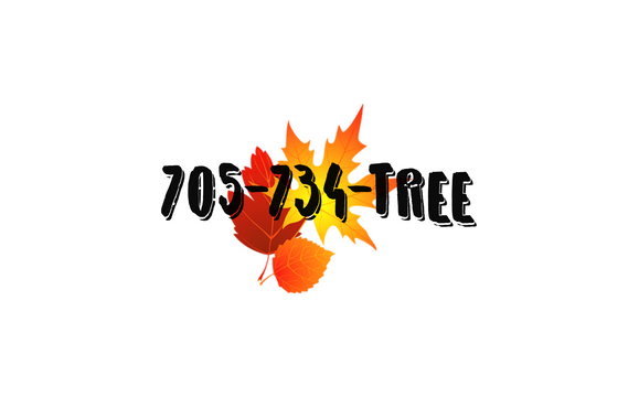 Free Estimates by The Great Canadian Tree Service