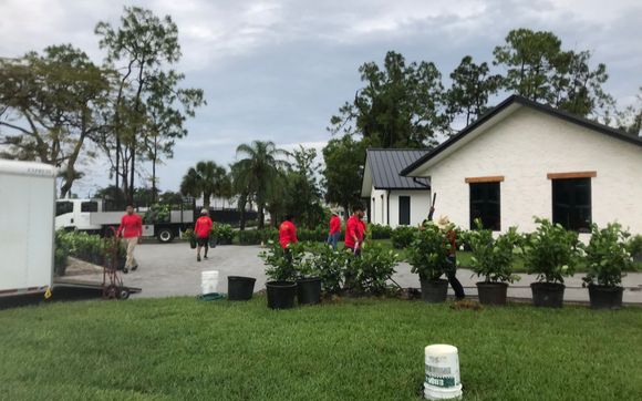 Lawn Mowing by Express Turf Renovation 