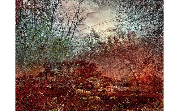 Candy Kuehn Studio.  candy.kuehn@gmail.com by Candy Kuehn Studio