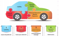 Adequate Auto Insurance by The Riceman Group