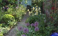 Garden Design by Catalpa Gardening