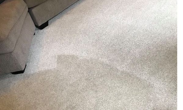 COVID-19 Deep Clean by KleanEasy Carpet and Floor Cleaning