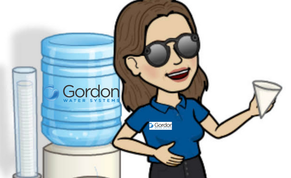 Clean safe water and air solutions by Gordon Water Systems