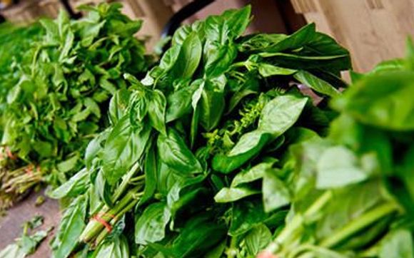 Fresh Herbs by Petaluma Farmers' Market