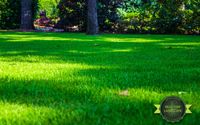 Weed Control and Lawn Treatment Services by Real Turf Solutions