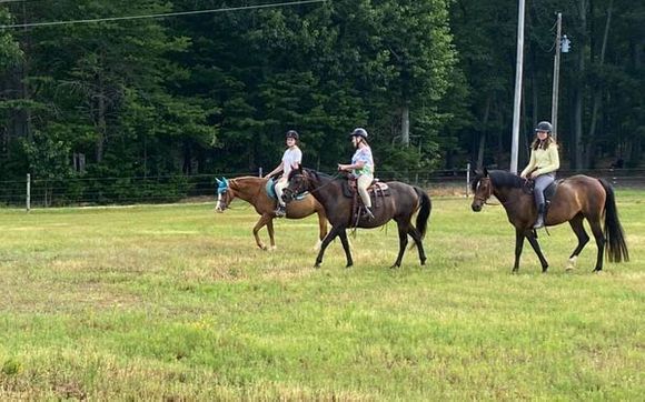 Welsh Pony farm offering lessons, boarding and training by Dartland Farms