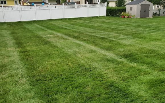 Lawn and landscape maintenance by Precision lawn Care llc in Le Roy ...