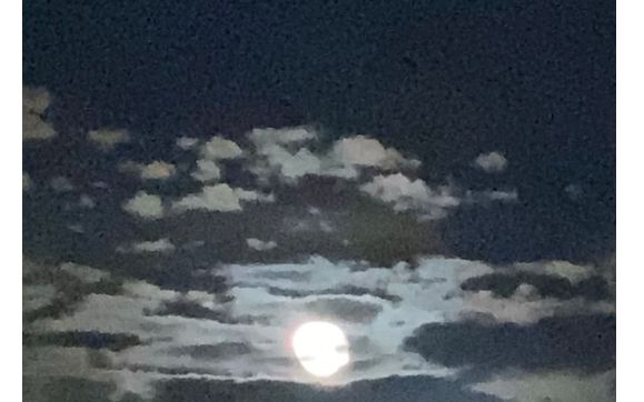 Arizona Night Sky by Artistic View Image