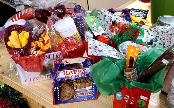 Christmas for pets! by The Lucky Pupp