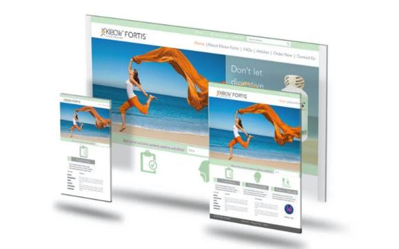 Technical SEO Website Audits by Smarter By Design, Inc.