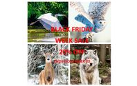 Wildlife / Nature Photographic Products by JHC Photography