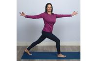 Private Yoga, Qigong, and Tai Chi Lessons by Flowing River Qigong, Tai Chi, and Yoga