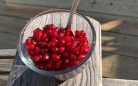 Online Appointment Booking by The Joy Of Nutrition