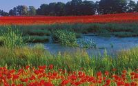 Visit Wild Poland in 2021 - Enjoy Poland this Summer by Alice Colody Travel/wedoffshore.com