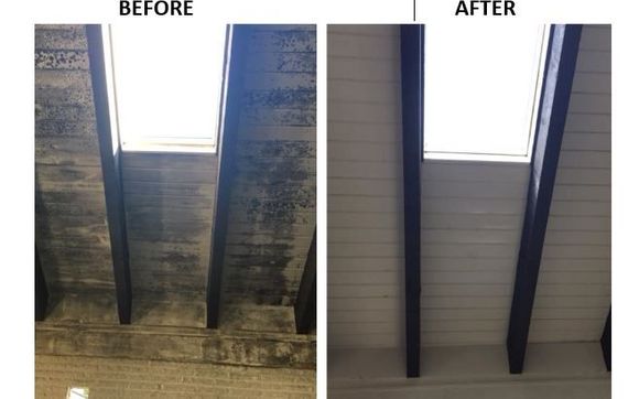 Mold Remediation by Bactronix South Jersey