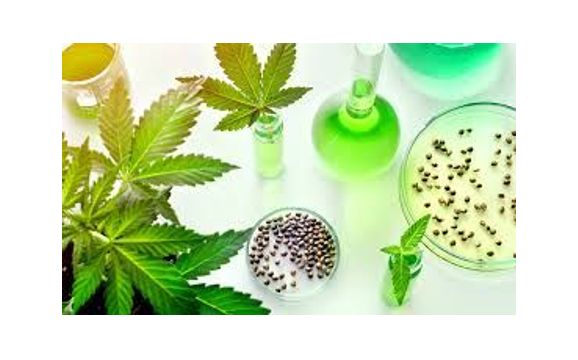 Vegetable Glycerin by Nature Trading Group