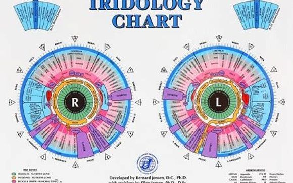 Iridology by Manna Plus LLC