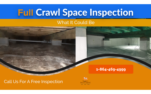 Free Crawl Space Inspection by Scout's Pest Control #1