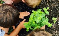 Child Care by Poppert Preschool