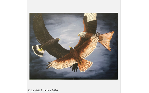 Watercolor, Acrylic, Ink drawings / paintings by Matt J Harline Fine Art