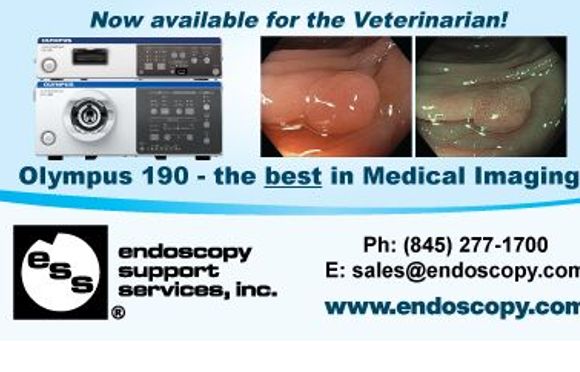Endoscopy Equipment, Service+Repair, and Imaging WorkFlow Solutions for Better Medicine by Endoscopy Support Services, Inc.