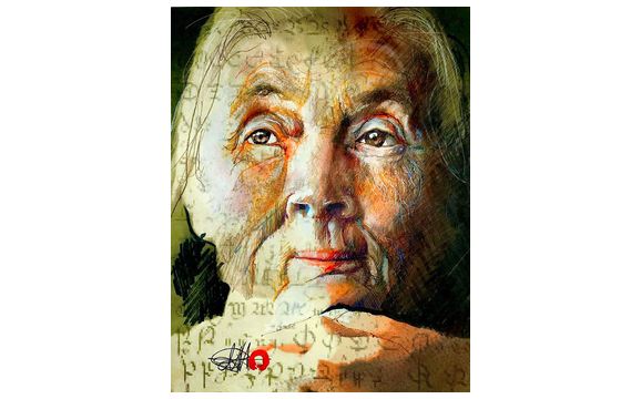 Illustration & Graphic Design by Paul Hillman belmOntegraphics