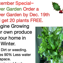 Free Seedlings with a Tower Garden Purchase by Lees-on Life