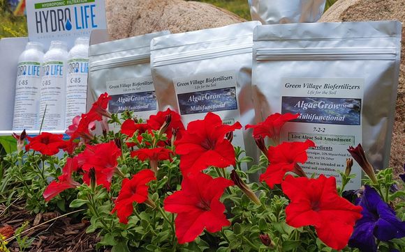 AlgaeGrow™ Multifunctional Biofertilizers by Green Village ...