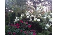 Garden consultations and design by Amanda's Garden Consulting Company