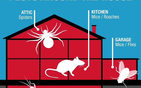 Regular and Preventative Maintenance Contracts  by Affordable Pest Technicians