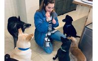 Volunteering Opportunities by Dogs in Brazil, Inc.