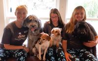 Chris's Dog Hotel No Cages Luxury Pet Resort  by Chris's Dog Hotel No Cages Luxury Pet Resort