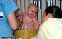 Support Us with Tax-Deductible Donations by Melina Wachter Memorial Foundation