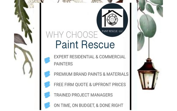 Paint Rescue  by Paint Rescue LLC