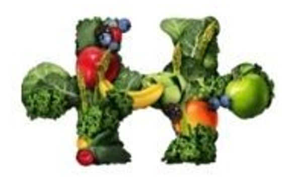 Puzzle Piece 1 Membership (4 months) by Completely Essential Nutrition