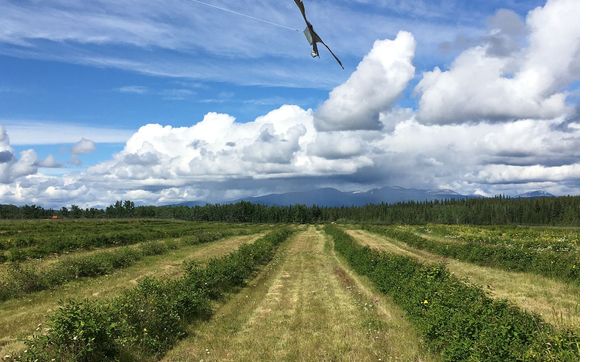Sustainable Agriculture by Circle D Ranch