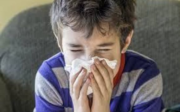 Duct Cleaning/Indoor Air Quality Solutions by Mojo Heating & Cooling, LLC