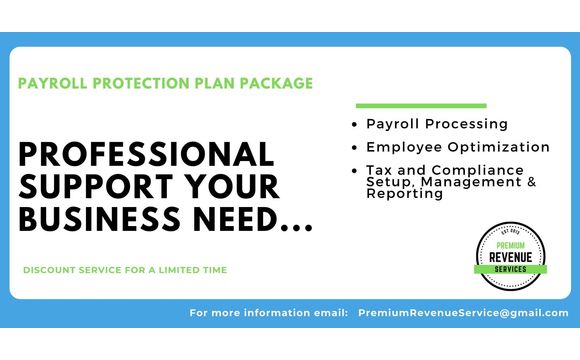 Payroll Protection Plan Support Package by KMarie
