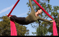 Aerial Artistry & Physique Training by Encouragement Works!