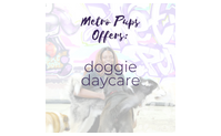 Doggie Daycare by Metro Pups