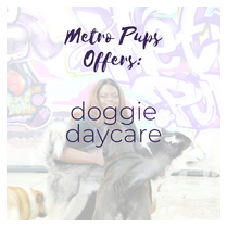 Doggie Daycare by Metro Pups