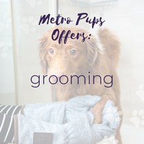 Grooming by Metro Pups